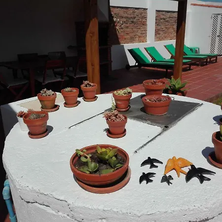 Casa Vitorino's *