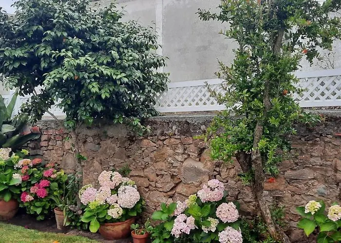 Casa Vitorino's Casa de Férias Vale de Maceira